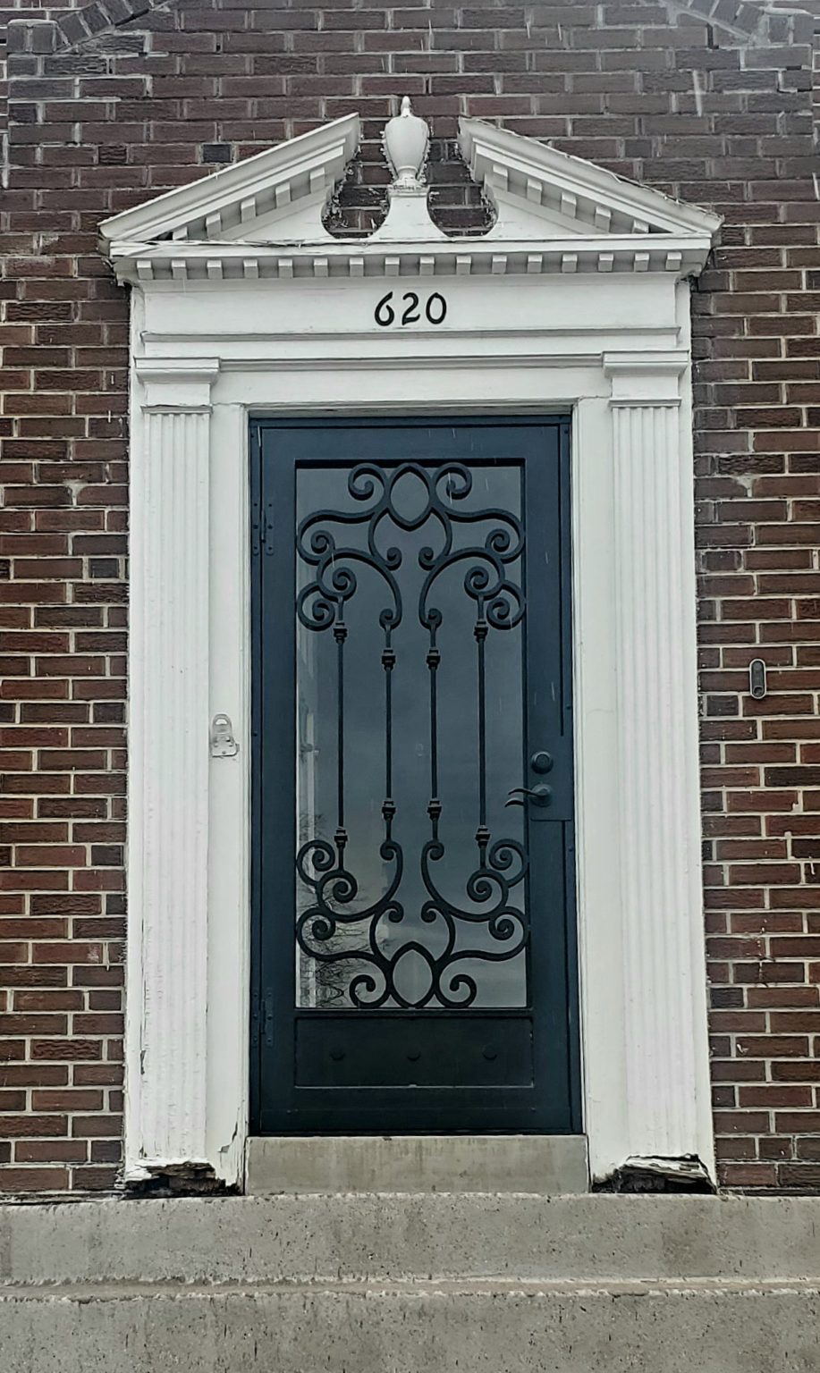 Security Doors Gallery Denver Security Doors (ASI)